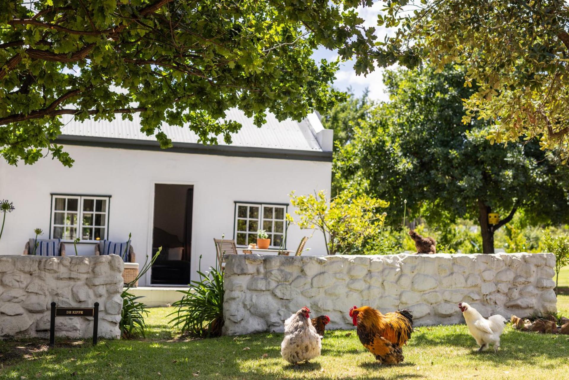 Eikehof Farm Worcester Exterior foto