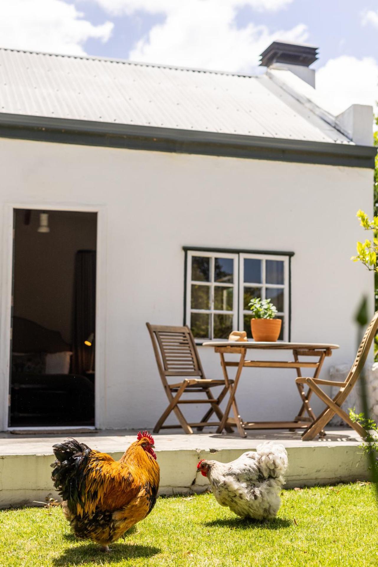 Eikehof Farm Worcester Exterior foto